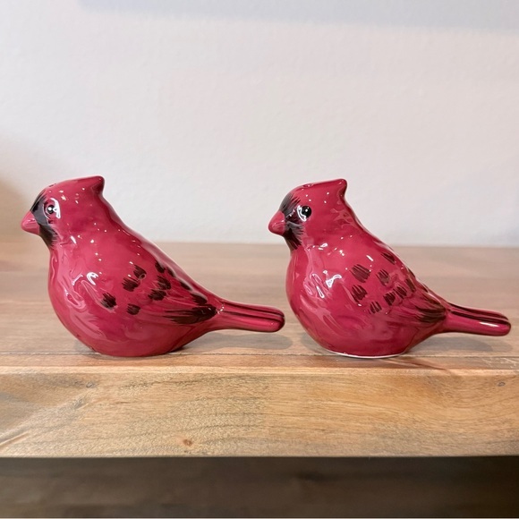 Other - Ceramic cardinal salt and pepper shakers